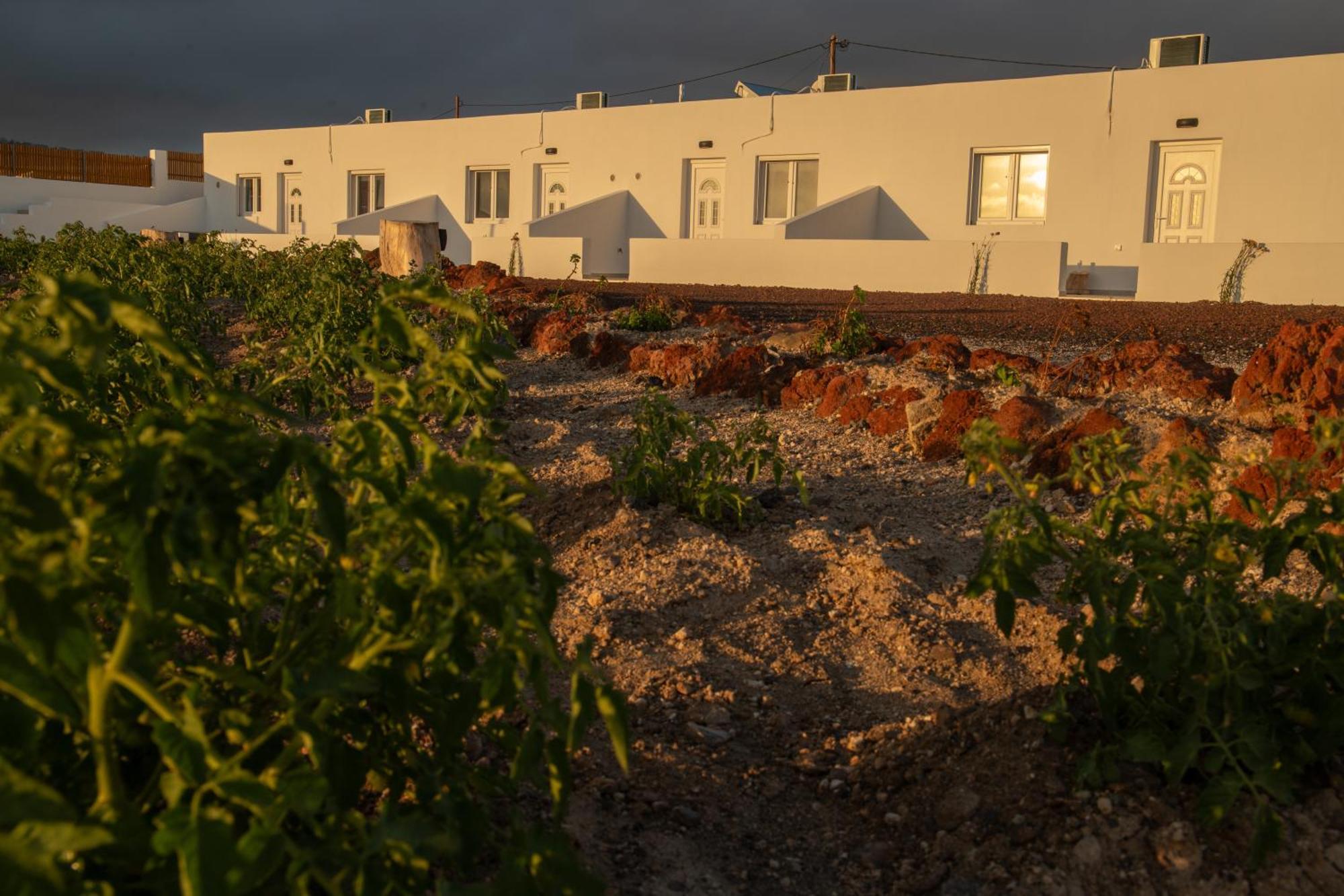 Calma Eco Houses Sunset View Emborió Kültér fotó